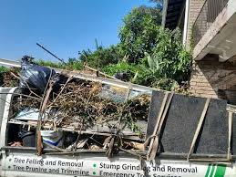Best Construction Debris Removal  in Cadillac, MI